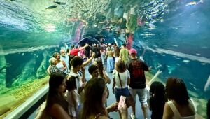 Bioparque Pantanal bate recorde em julho e atrai mais turistas de fora, consolidando Campo Grande no turismo nacional.
