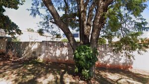  Terreno da Prefeitura na Rua Jeribá, em Campo Grande, que será leiloado em outubro.