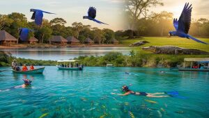 Com Bonito e Pantanal em alta, MS se consolida como destino estratégico e sustentável no cenário turístico brasileiro.