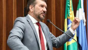 O tema central do ato deste ano foi a soberania do Brasil e a resistência a influências externas. Kemp criticou as manifestações em São Paulo que exibiram bandeiras dos Estados Unidos em apoio à anistia para Bolsonaro.