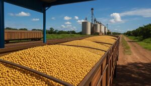 Holanda, Indonésia e Itália compraram mais de 10% das exportações de MS em 2024, puxadas por soja, celulose e carne bovina.