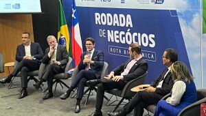 Arauco aposta no Brasil e muda o mercado da celulose.