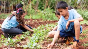 Semed promove integração entre escolas rurais e valoriza boas práticas da educação no campo