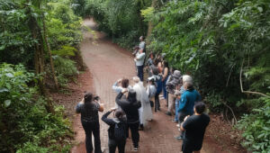 Evento mobilizou participantes em todo o Estado para registrar espécies de aves e contribuir com a conservação da fauna.