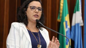 Modelo tem gerado inúmeros problemas no sistema educacional, principalmente em Dourados, conforme a parlamentar 