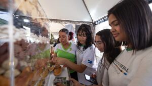 Mais de 200 alunos participam de oficinas sobre o Pantanal e Cerrado na Feapan 2025, em Corumbá, com jogos e materiais educativos.