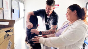 Prefeitura de Campo Grande promove atendimento veterinário gratuito e feira de adoção durante o mês de outubro.