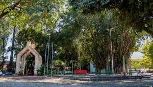 Trabalhos de retirada de árvores vão interditar trecho da Avenida Ernesto Geisel, entre a Rua 26 de Agosto e a Avenida Fernando Corrêa da Costa, nesta sexta-feira.