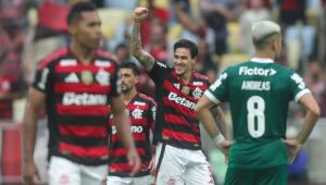Pedro comemora gol do Flamengo contra o Palmeiras.