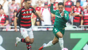 Flamengo e Palmeiras chegam às últimas dez partidas empatados em número de pontos. 