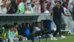 Abel Ferreira evitou tecer grandes reclamações à arbitragem após duelo com o Flamengo