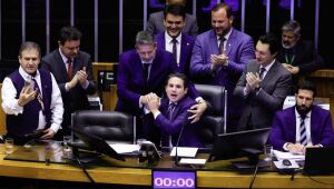 Projeto foi aprovado por unanimidade, com 493 votos favoráveis