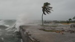 Ondas atingem Kingston, na Jamaica, enquanto país se prepara para a chegada do furacão Melissa  