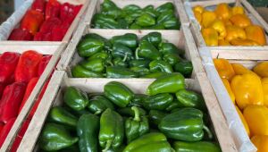 Entressafra do morango eleva preços na Ceasa/MS, enquanto o pimentão verde registra queda de 14% na semana