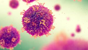 Vírus do sarampo é altamente contagioso