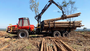 Programa da MS Florestal oferece capacitação e contratação imediata em Água Clara