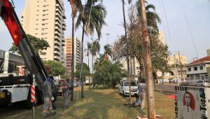Iluminação natalina transforma as ruas centrais de Campo Grande em pontos de encontro e lazer