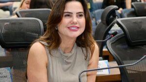 A deputada estadual Mara Caseiro (PSDB) apresentou indicação ao Governo do Estado solicitando reparos urgentes na cabeceira da ponte sobre o Rio Morumbizinho