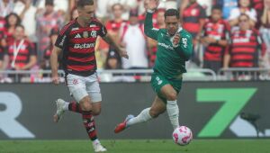 Palmeiras e Flamengo vão decidir a final da Libertadores. 