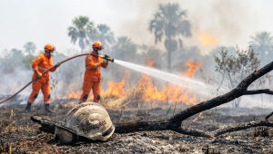 Operação Pantanal 2025 reduz focos e área queimada a marcas históricas no MS
