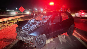 Equipes do Samu, Bombeiros e Polícia Civil atuaram no local da colisão que matou duas pessoas em Três Lagoas.
