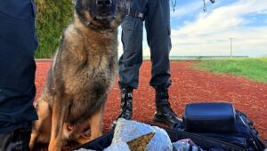 Com auxílio dos cães farejadores Pacu e Cwiff, a PMMS apreendeu quase 7 kg de drogas em mala transportada por uma mulher que seguia para Curitiba. A abordagem ocorreu na MS-164, em Maracaju.