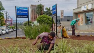 Empresas podem adotar áreas públicas como canteiros e rotatórias e instalar identificação no local.