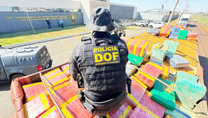 Apreensões realizadas pelo DOF em 2025 colocam MS entre os estados com maior volume de drogas interceptadas.