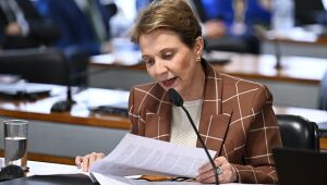 Tereza Cristina defende reação firme do Senado à liminar de Gilmar Mendes, mas pede serenidade: 'Nada de agir com o fígado'.