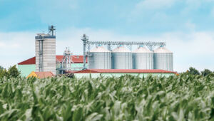 Produtores de Mato Grosso do Sul recorreram a crédito livre para manter investimentos agrícolas em novembro, diante de restrições no acesso ao Plano Safra.