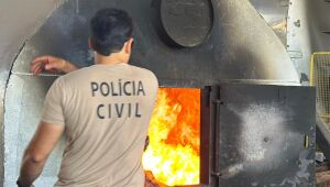 Mato Grosso do Sul foi responsável por 84 das 114 toneladas de drogas incineradas durante a Codesul II