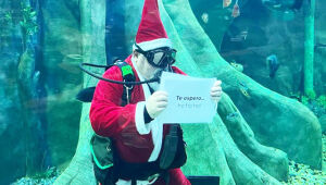 Papai Noel Mergulhador será atração especial de Natal no Bioparque Pantanal nos dias 23 e 24 de dezembro.