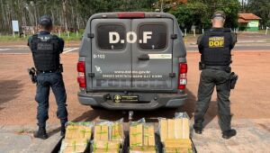 Tabletes de maconha foram encontrados em malas durante abordagem a ônibus na MS-164, em Ponta Porã
