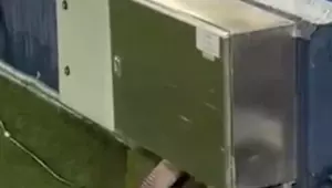 Rato foi flagrado andando pelo gramado do estádio Camp Nou. 