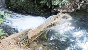 Área de nascentes em Bonito, região famosa pelas águas cristalinas, é alvo de investigação por suspeita de dano ambiental em ponto conhecido como Nascentes Palmeirinha 