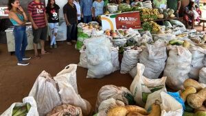Nova distribuição de alimentos à comunidade indígena de Dourados ocorreu na escola municipal Tenguatui Marangatu