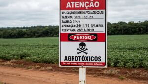 Relatório técnico identifica agrotóxicos em tamanduás-bandeira na região do Pantanal e acende alerta para contaminação de fauna e rios em MS.