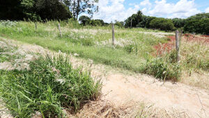 Terrenos sujos passam a gerar multa e cobrança de limpeza feita pela prefeitura em Dourados.