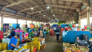 'Preços baixos pressionam setores, mas Ceasa/MS amplia vendas em 2025'