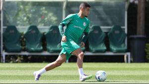 Andreas Pereira se lesionou na partida contra o Santos, na quarta-feira.