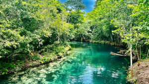Bonito cobra taxa de conservação ambiental de turistas e investiga possíveis fraudes em vouchers e cadastros que teriam usado indevidamente isenção destinada apenas a moradores.