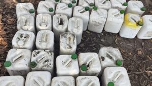 PMA de Porto Murtinho flagra embalagens de agrotóxicos armazenadas de forma irregular em depósito aberto no município 