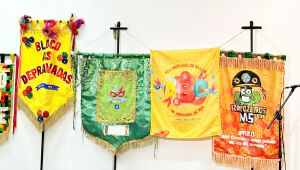 Tradicionais bloquinhos de rua vão participar da folia deste ano