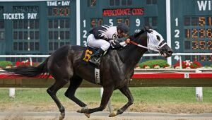 Apostas esportivas e os diferentes mercados disponíveis