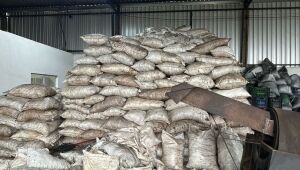 Carvoaria clandestina é fechada por equipes da Polícia Civil e da Polícia Militar Ambiental no Núcleo Industrial de Campo Grande.