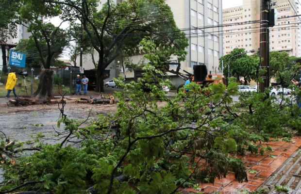 Tempestades com ventos de até 100 km/h colocam MS em alerta