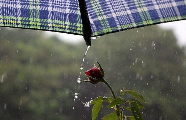 Chuvas avançam pelo Mato Grosso do Sul com ventos fortes e calor persistente