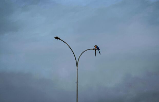 Frente fria deixa parte de MS sob alerta de tempestade neste sábado