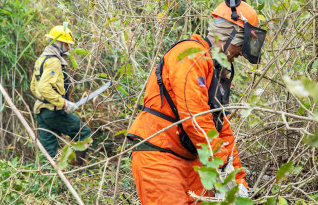 Pantanal registra queda surpreendente nas queimadas, com menos de 0,5% dos focos no Brasil