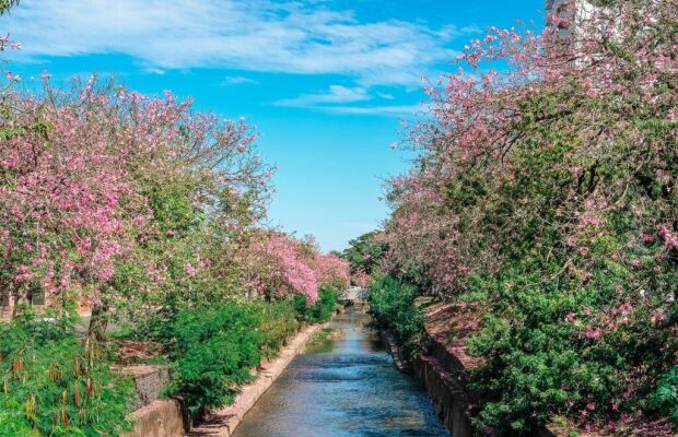 Campo Grande adota modelo de 'Cidade-Esponja' para combater enchentes e valorizar áreas verdes